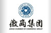 河南省徽商集团   汤武 董事长